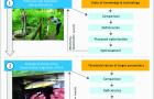 Infographic fish protection: Multistage optimisation process during site-specific evaluation of fish protection and fish downstream migration