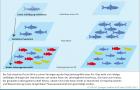 Infografik Fischschutz: Wirkungskette über mehrere ökologische Ebenen hinweg, ausgehend von letalen Schädigungen einzelner Individuen an Standorten mit Querbauwerken und Wassernutzung sowie tangentialen Flusswasserentnahmen