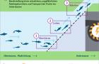 Funktionen eines Fischschutzsystems